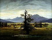 Caspar David Friedrich Village Landscape in Morning Light oil